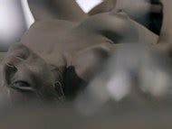 Natalia Betancurt Nue Dans The Sex Sense