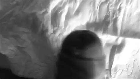 Masturbation En Noir Et Blanc Gay Amateur Porn F Xhamster Xhamster