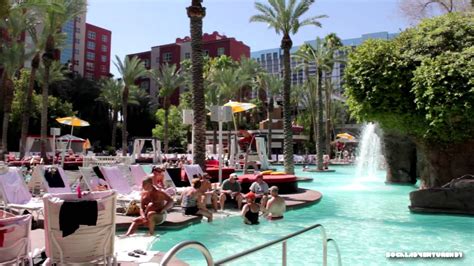 Flamingo las vegas hotel casino pool - nderam