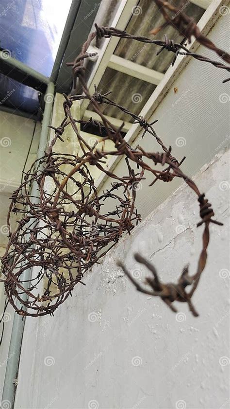 Rusty Fence Wire Rusty Fencing Wire Barbed Wire Rusty Barded Wire