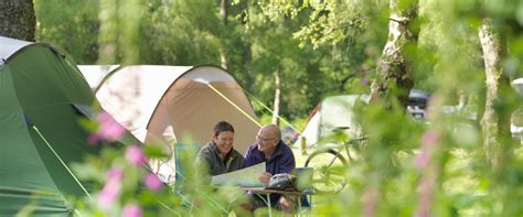 Grizedale Campsite | Forestry England