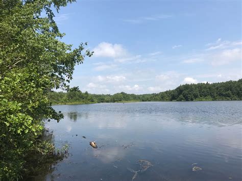 parvin state park campground rosenhayn  jersey
