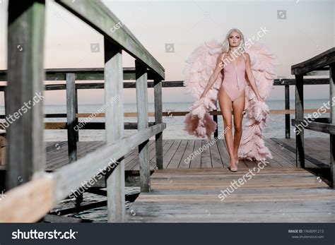 Sexy Woman Lingerie Wings Stock Photo 1968091213 Shutterstock