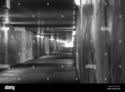 Mount Baker Tunnel Graffiti Covered Walls Underground Concrete Tunnel