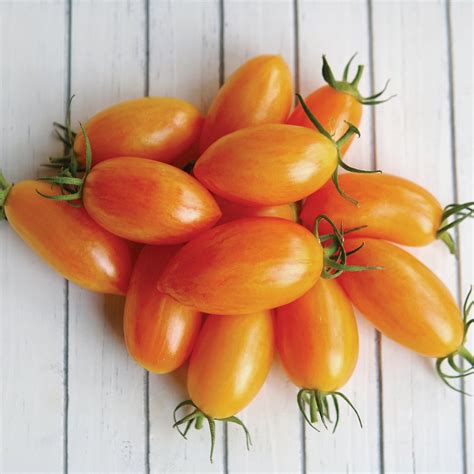 Blush Tomato Seed Territorial Seed