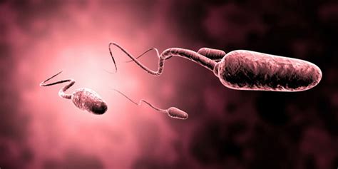 Kapan Kualitas Sperma pada Pria Berubah? : Okezone health