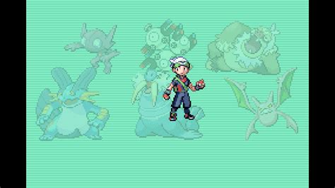 Finished My First Ever Hardcore Nuzlocke R Nuzlocke
