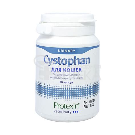 Цистофан для Кошек - Купить с Доставкой по Москве