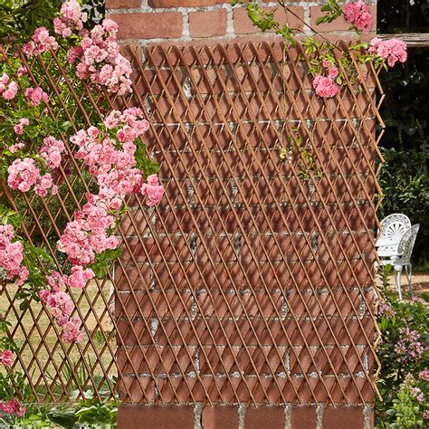 Extendable Willow Trellis Twin Pack Thompson And Morgan