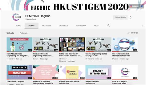 Team:HKUST/Education - 2020.igem.org