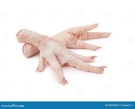 Raw chicken feet stock image. Image of fingernail, claw - 290695053