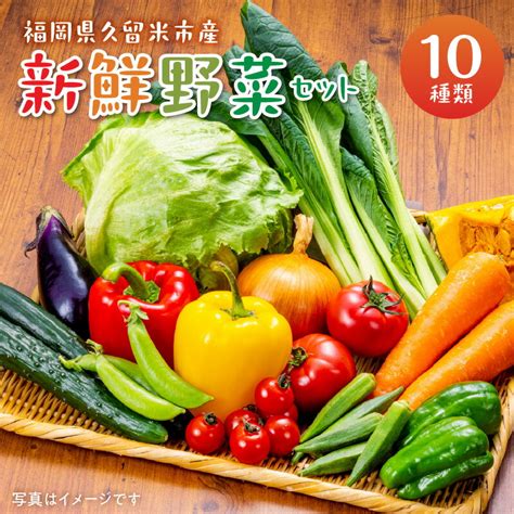 【楽天市場】【ふるさと納税】福岡県 久留米市産 新鮮野菜 セット 10品目 旬の野菜 詰め合わせ 新鮮 野菜 水菜 小松菜 ほうれん草