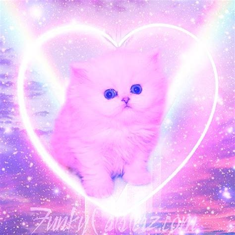 Bộ Sưu Tập 600 Mẫu Galaxy Kitten Background Đẹp Nhất