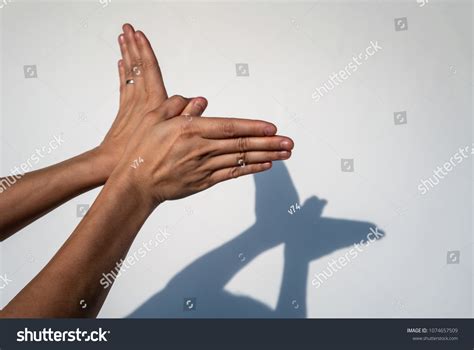 79 Butterfly Creates A Shadow Images, Stock Photos & Vectors | Shutterstock