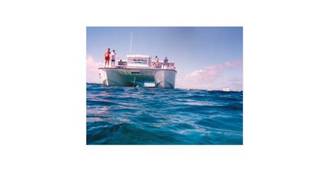 Snorkeling in the Bahamas Postcard | Zazzle