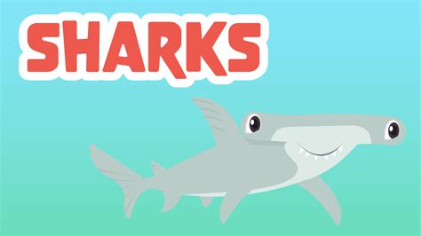 Sharks Facts for Kids - 5 Shocking Facts about Sharks - LearningMole