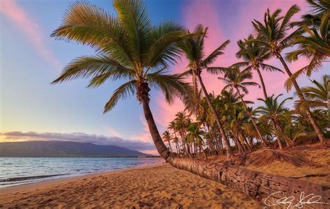 Plaża i palmy na wyspie Maui