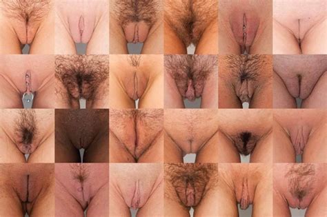 Labia Types Whats Your Beloved Sniz Porn