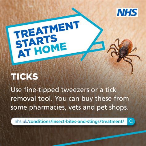 Nhs Devon On Twitter Most Insect Bites Will Improve Within A Few