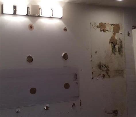 Austin Tx Mold Removal And Mold Remediation Servpro Of East Central
