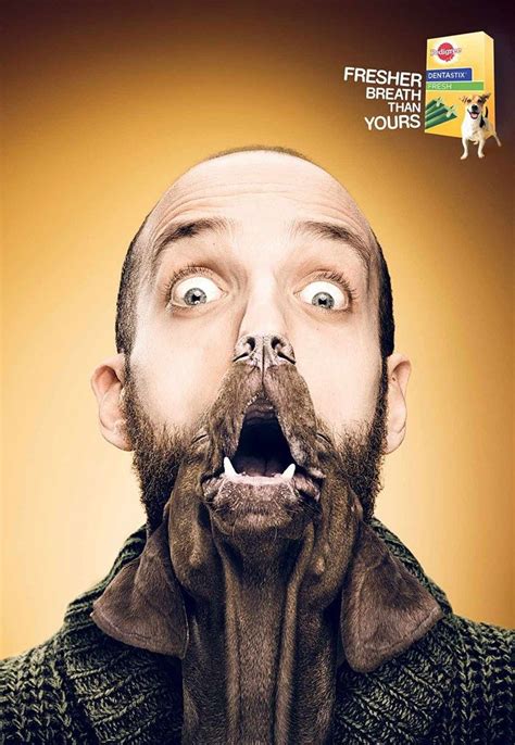 15 Super Creative Print Ads With Animals | Print advertising, Creative ...