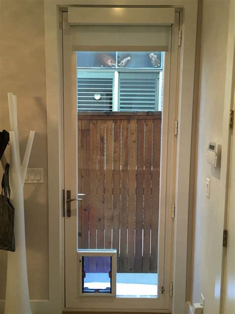 Storm Door With Dog Door - Expert Installation - Free Estimates