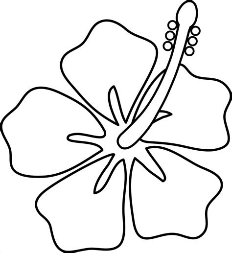 hawaii flowers drawing