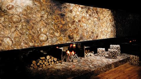 Brown Petrified Wood Mineral Expertise