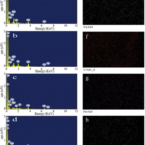 A X Ray Photoelectron Spectroscopy XPS Spectra For Each Biochar