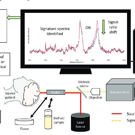 Illustration Of A Simplified Raman Spectroscopy System And Its Download Scientific Diagram