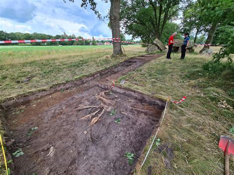 Opgraving Hunebed D In Volle Gang Het Hunebed Nieuwscaf