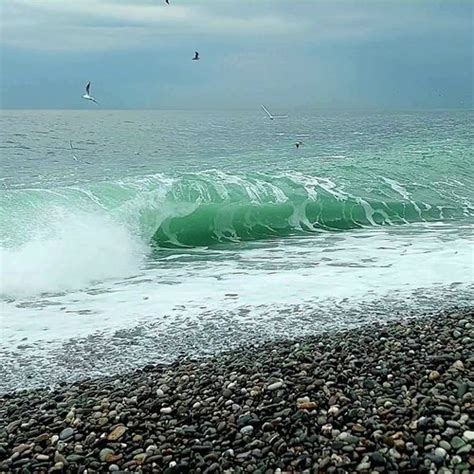 Золотые серьги с празиолит МОСКОВСКИЙ ЦЕПЕВЯЗАЛЬНЫЙ ЗАВОД 2111442_01 ...