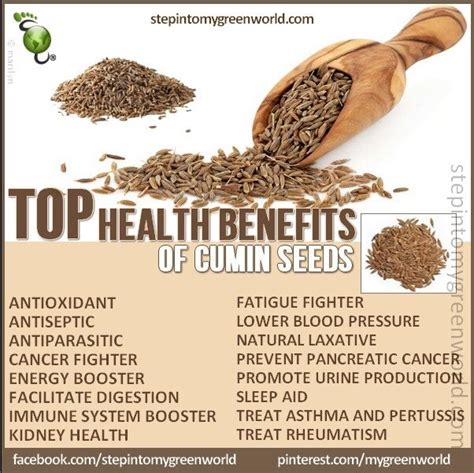 Health Benefits Of Cumin Does It Have To Be Cumin Seeds Or Does The Seasoning As Beneficial