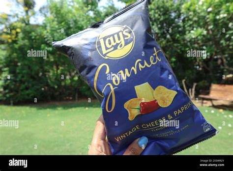 Lay Gourmet Chips Packet Lays Wafers In Vintage Cheese And Paprika