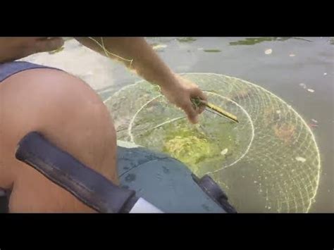 СРАВНЕНИЕ ПРИМАНОК НА РАКА В РАКОЛОВКУ. 5 НОВЫХ ПРИМАНОК. ЧТО ЛЮБЯТ ...