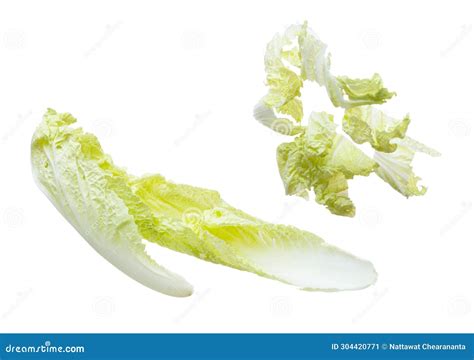 Chinese Cabbage Fly In Mid Air Green Fresh Vegetable Chinese Cabbage Falling Leaf Organic