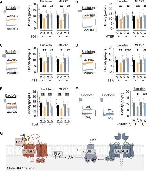 Amyloid β oligomers trigger sex dependent inhibition of GIRK channel