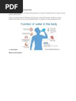 D5lr Uses Side Effects And Precautions Pdf Intravenous Therapy