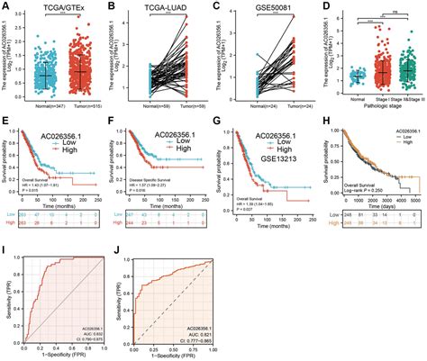 M6a Mediated Upregulation Of Lncrna Ac0263561 Promotes Cancer Stem