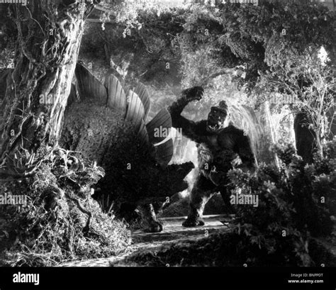 King Kong Dinosaur King Kong Black And White Stock Photos And Images Alamy