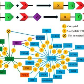 (a, b) Schematic diagram showing the formation of a hydrogen bond (a; X ...