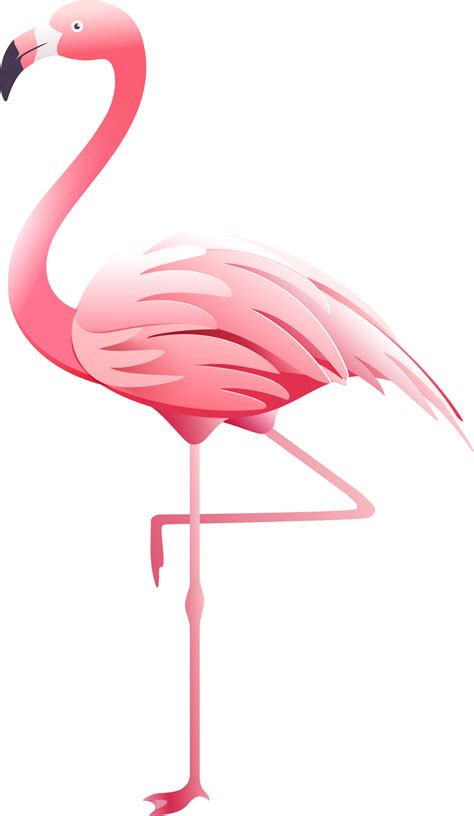 Pink Flamingo Illustration 19046236 Png