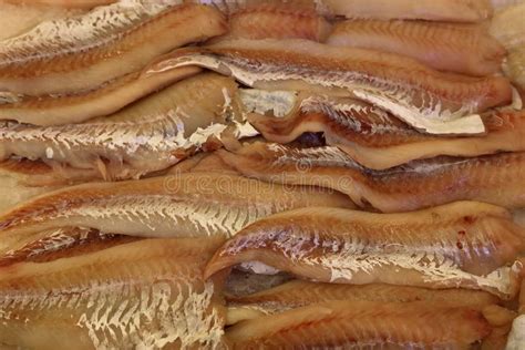 Fresh frozen seafood. stock image. Image of fresh, store - 64437239