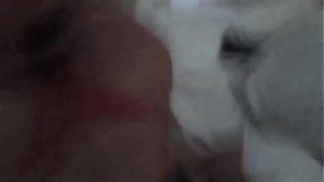 Cornudo Amateur Search Xvideos