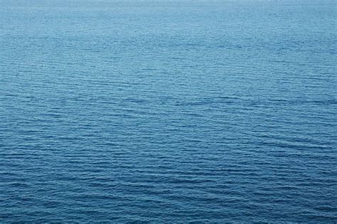 30+ Caiser Stock Photos, Pictures & Royalty-Free Images - iStock