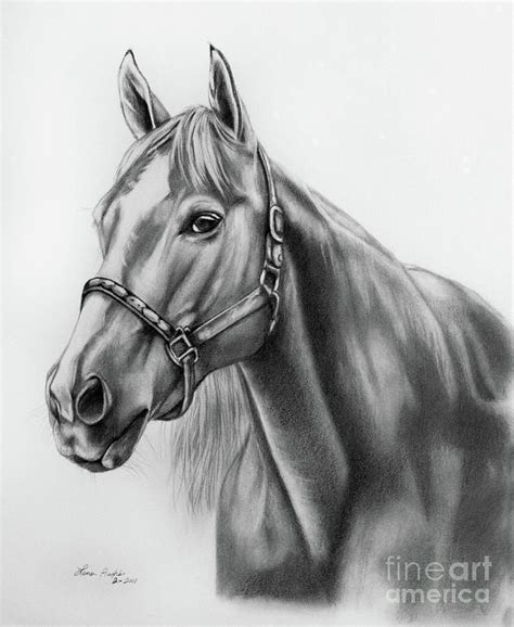 طرح اسب Horse Art Print Horse Drawings Horse Art