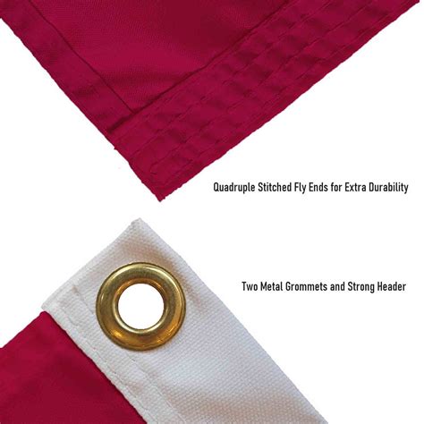 Minnesota Goldy Gopher Flag State Street Products