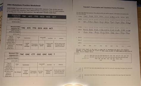 Solved lett DNA Mutations Practice Worksheet DIRECTIONS | Chegg.com