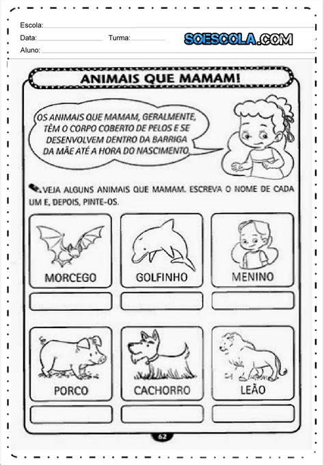 Avaliação De Ciencias 1 Ano - Avaliação De Ciencias 1 Ano - NAZAEDU