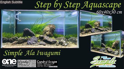 Step By Step Simple Aquascape Tema Ala Iwagumi Tank 60 Cm 91 YouTube